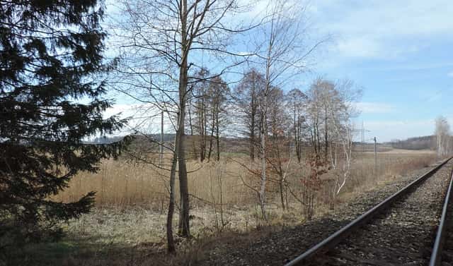 Prodej pozemku 3 690 m², Brniště, okres Česká Lípa