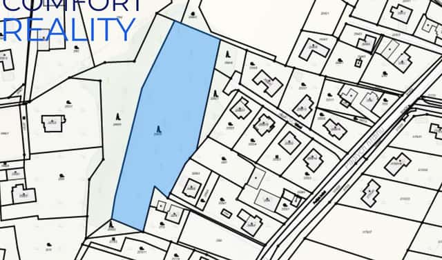Prodej lesa 5 996 m², Olšová, Havířov – Životice, okres Karviná
