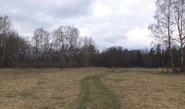 Prodej pozemku 6 727 m², Chlum u Třeboně – Lutová, okres Jindřichův Hradec