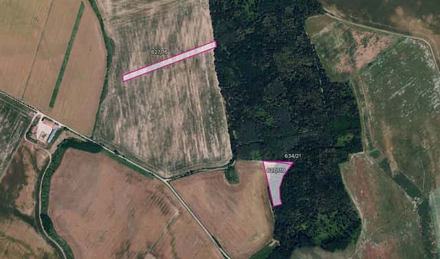 Prodej pole 6 560 m², Džbánice, okres Znojmo