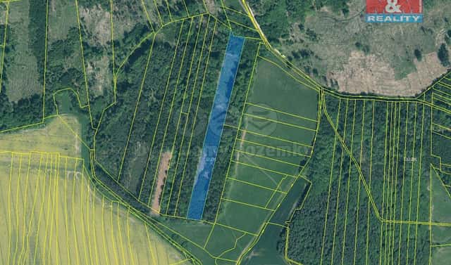 Prodej lesa 17 738 m², Jetětice, okres Písek