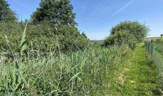 Prodej pozemku 458 m², Trhové Sviny, okres České Budějovice