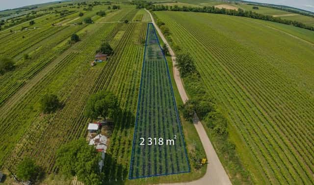 Prodej pozemku 2 318 m², Prušánky, okres Hodonín