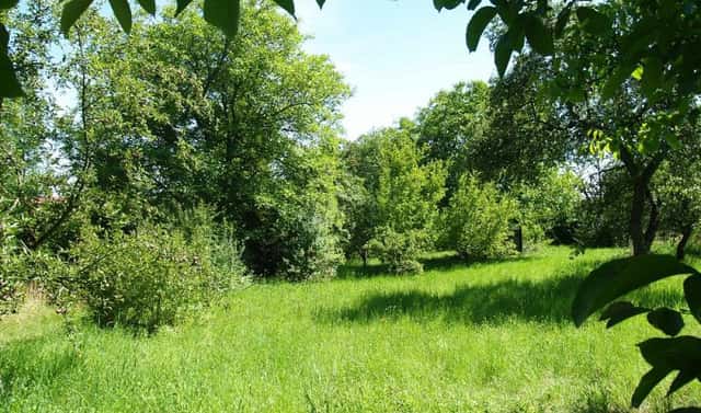 Prodej stavebního pozemku 1 635 m², Bažantní, Praha 6 – Suchdol