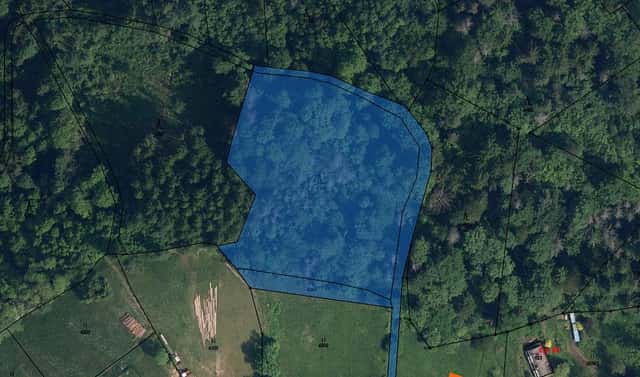 Prodej lesa 3 724 m², Koberovy, okres Jablonec nad Nisou