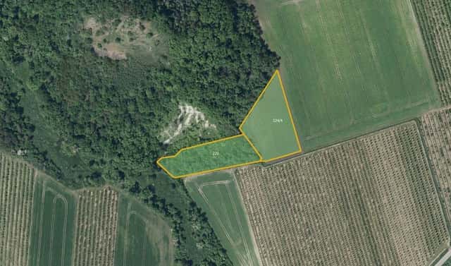Prodej pole 8 055 m², Želkovice, okres Louny