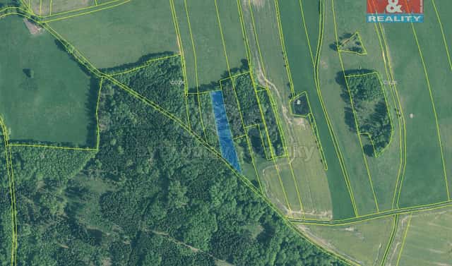 Prodej lesa 5 564 m², Skály, okres Písek