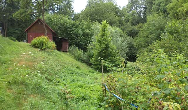Prodej pozemku 720 m², Liberk – Prorubky, okres Rychnov nad Kněžnou