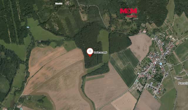 Prodej lesa 947 m², Roštění, okres Kroměříž