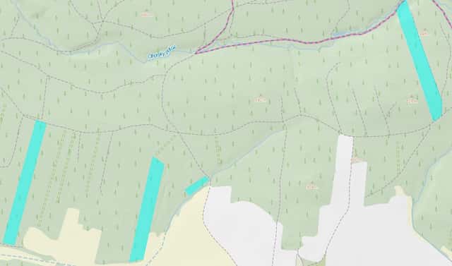 Prodej lesa 309 882 m², Jetětice, okres Písek