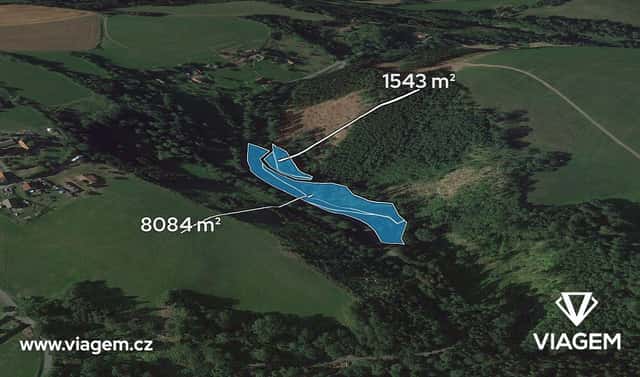 Prodej lesa 4 813 m², Stružinec, okres Semily