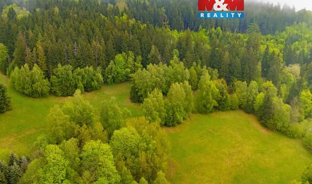 Prodej louky 1 444 m², Tanvald – Šumburk nad Desnou, okres Jablonec nad Nisou