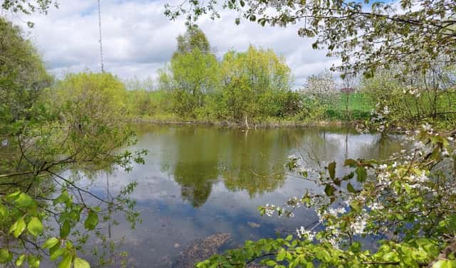 Prodej vodní plochy 12 045 m², Krásensko, okres Vyškov