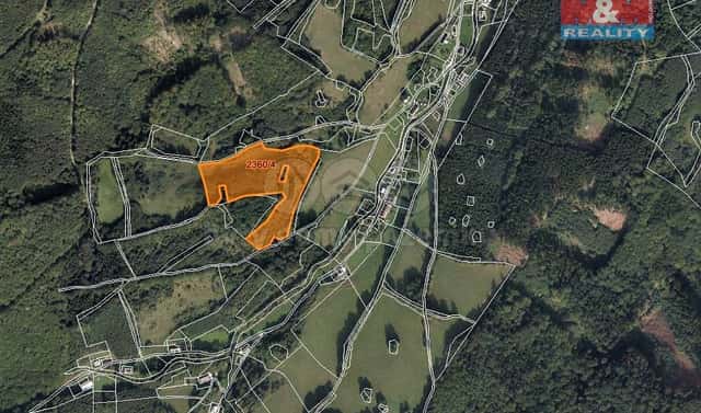 Prodej lesa 23 052 m², Vápenná, okres Jeseník