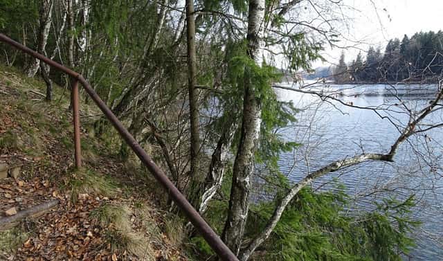 Prodej lesa 637 m², Seč, okres Chrudim
