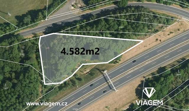 Prodej lesa 4 639 m², Nové Sedlo, okres Sokolov