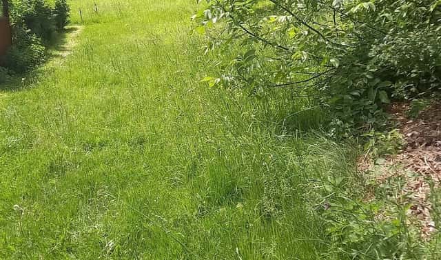 Prodej stavebního pozemku 1 800 m², Staré Křečany – Nové Křečany, okres Děčín