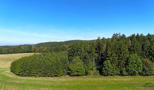 Prodej lesa 9 005 m², Liberk, okres Rychnov nad Kněžnou
