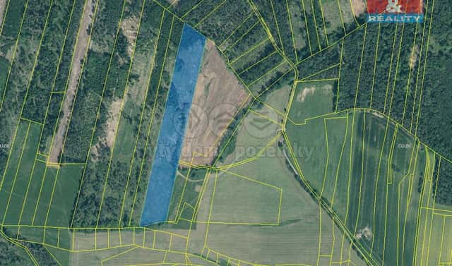 Prodej lesa 31 088 m², Jetětice, okres Písek