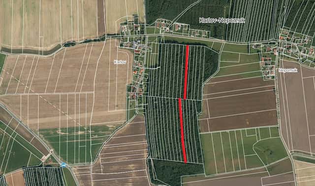 Prodej lesa 6 005 m², Dražíč, okres České Budějovice