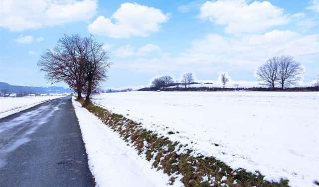 Prodej pole 13 318 m², Tojice, okres Plzeň-jih