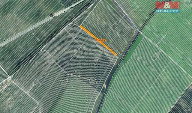 Prodej pole 243 m², Hrušky, okres Břeclav
