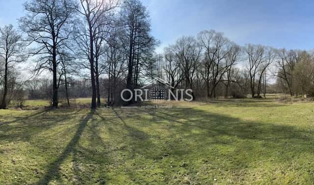 Prodej komerčního pozemku 16 901 m², Dolní Cerekev, okres Jihlava