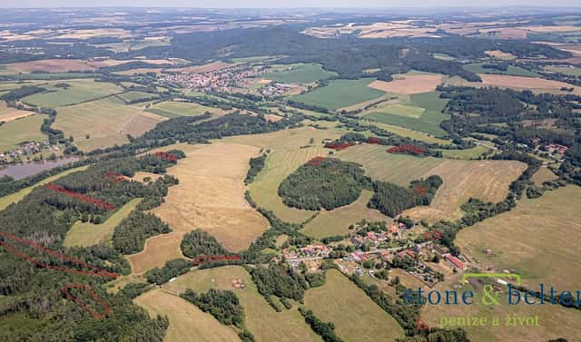 Prodej lesa 45 954 m², Zvěstov, okres Benešov