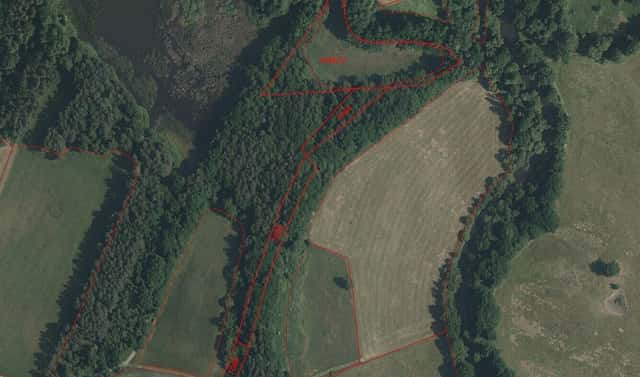 Prodej pozemku 15 643 m², Novosedly nad Nežárkou, okres Jindřichův Hradec