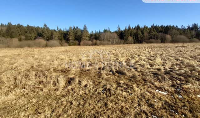 Prodej louky 9 804 m², Černá v Pošumaví, okres Český Krumlov