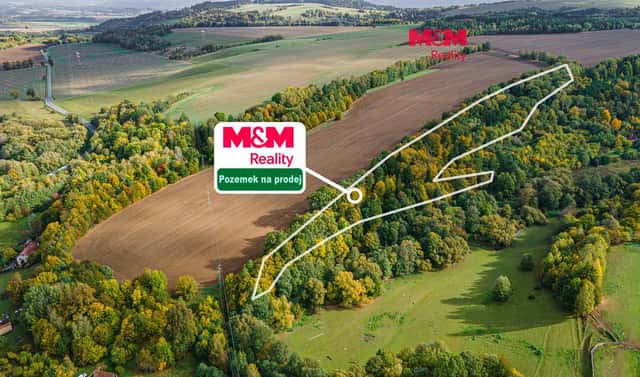 Prodej lesa 29 949 m², Opatov, okres Svitavy
