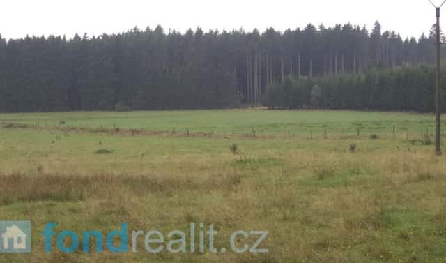 Prodej pozemku 10 628 m², Nová Bystřice, okres Jindřichův Hradec