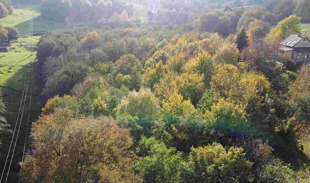 Prodej pozemku 543 m², Hrádek nad Nisou – Dolní Sedlo, okres Liberec
