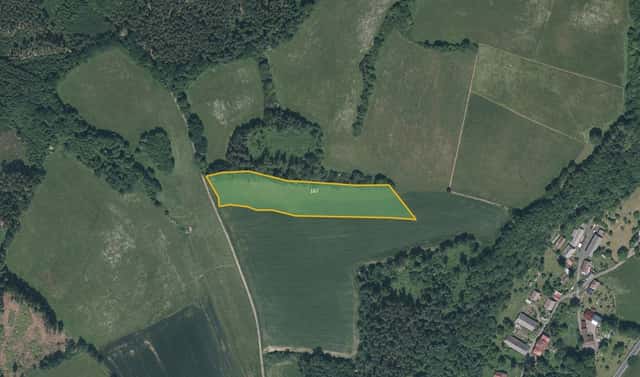 Prodej pole 14 151 m², Běšiny – Hořákov, okres Klatovy