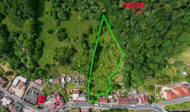 Prodej stavebního pozemku 4 585 m², Benešov nad Ploučnicí, okres Děčín