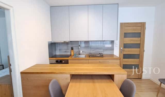 Pronájem bytu 1+1 41 m², 17. listopadu, Písek – Budějovické Předměstí