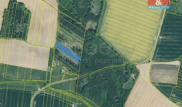 Prodej lesa 6 579 m², Stehlovice, okres Písek