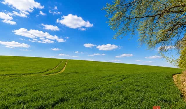 Prodej pole 54 936 m², Říčany, okres Praha-východ