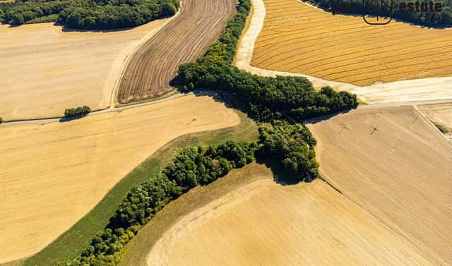 Prodej pole 38 057 m², Hvozdná, okres Zlín