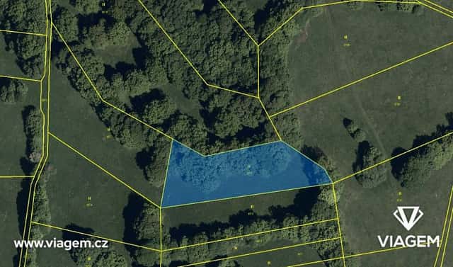 Prodej louky 1 860 m², Javorník, okres Hodonín