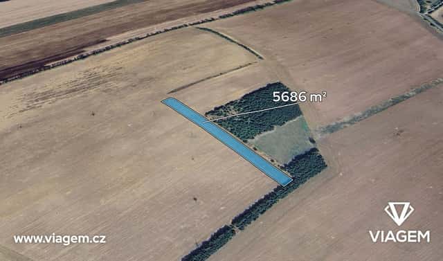 Prodej pole 5 686 m², Tvarožná Lhota, okres Hodonín