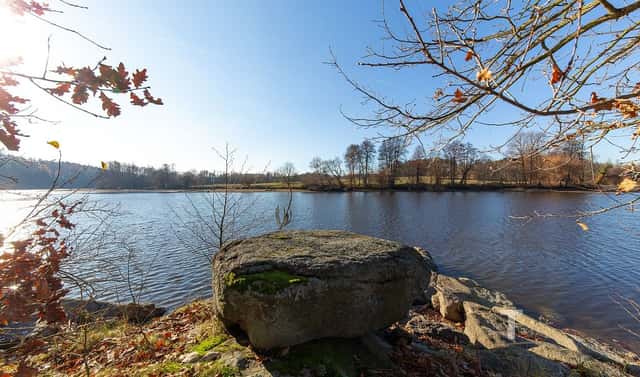 Prodej stavebního pozemku 133 994 m², Vrchotovy Janovice – Libohošť, okres Benešov