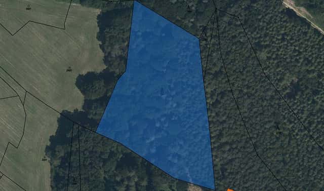 Prodej lesa 1 239 m², Sruby, okres Ústí nad Orlicí