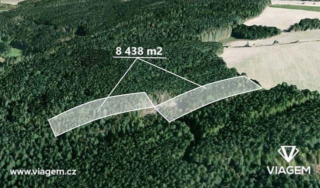 Prodej lesa 4 219 m², Manětín, okres Plzeň-sever