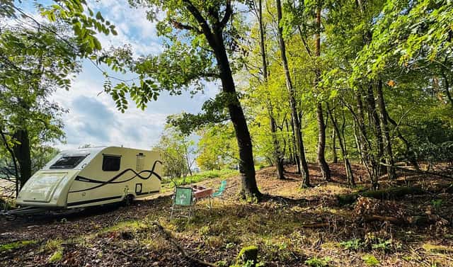 Prodej lesa 893 m², Postupice – Pozov, okres Benešov