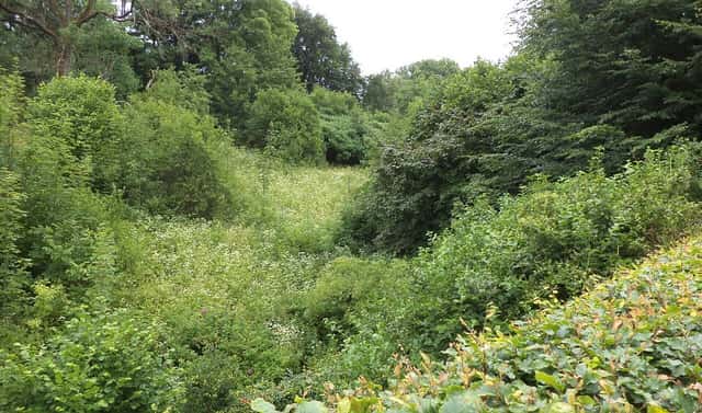 Prodej pozemku 1 548 m², Liberk, okres Rychnov nad Kněžnou