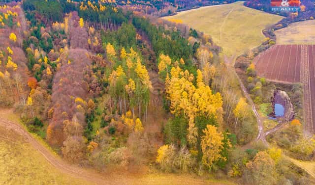 Prodej lesa 2 921 m², Tuchořice, okres Louny