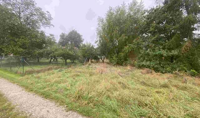 Prodej stavebního pozemku 588 m², Dolní Bukovsko – Bzí, okres České Budějovice