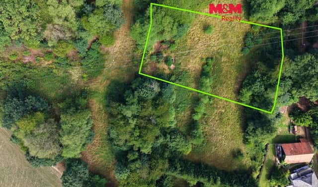 Prodej louky 1 831 m², Světlá nad Sázavou – Dolní Březinka, okres Havlíčkův Brod