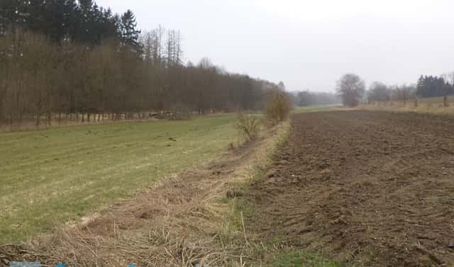 Prodej zahrady 705 m², Trhový Štěpánov, okres Benešov